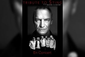 TRIBUTE TO STING