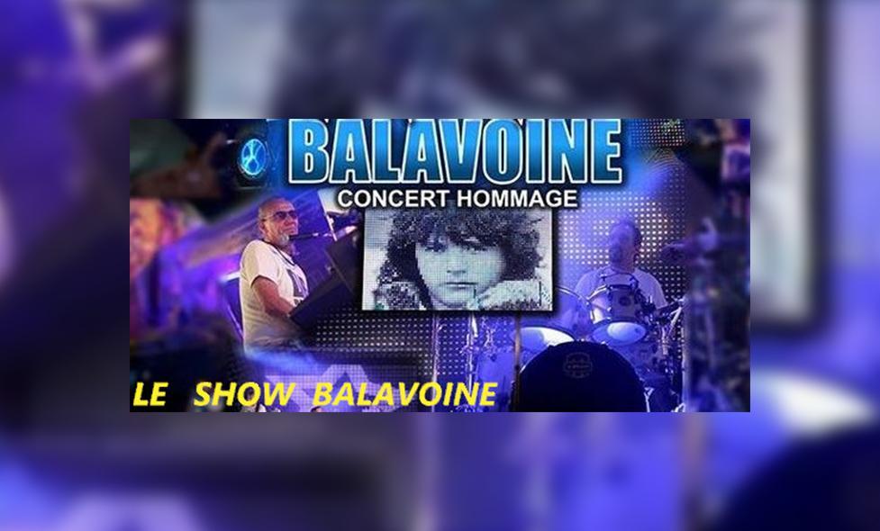 Le show Balavoine - Agrandir l'image, fenêtre modale